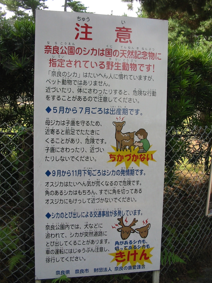 Rules for Deer Nara Park
