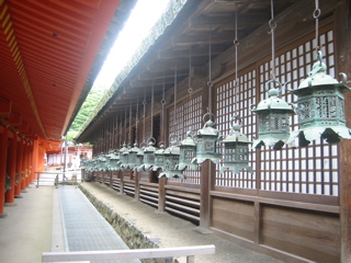Lanterns Nara Shrine