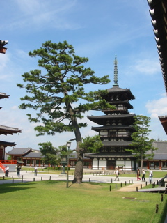 Yakushiji Pagoda Old