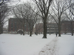 harvard winter 2004 - 16